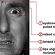 Image for article titled You can't tell if someone is lying by reading their facial expressions